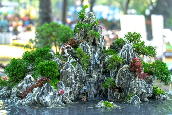 Penjing Miniatura Una Bandeja Forma Del Tallo Forma Crear Hermoso —  Fotos de Stock