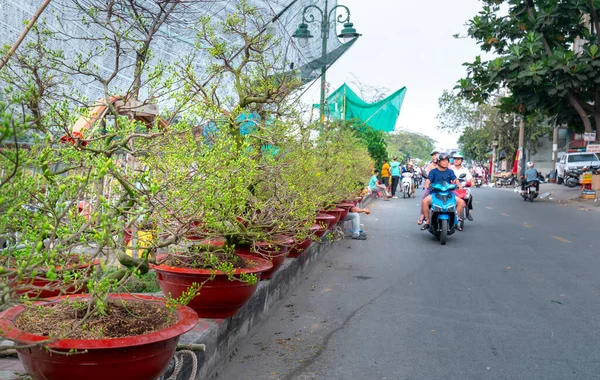 Chi Minh City Wietnam Stycznia 2020 Bustle Kupuje Kwiaty Rynku — Zdjęcie stockowe