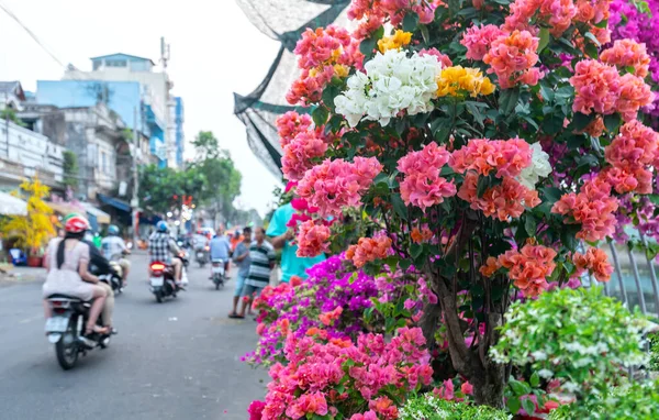 Minh Város Vietnam Január 2020 Nyüzsgés Vásárol Virágokat Virágpiacon Mentén — Stock Fotó