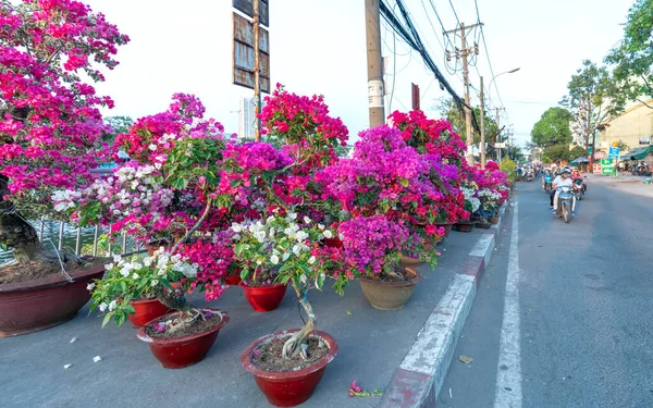 Місто Мін Єтнам Січня 2020 Року Бустл Купує Квіти Квітковому — стокове фото