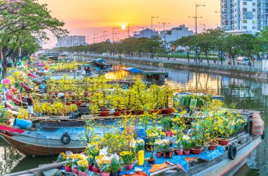 Ho Chi Minh City, Vietnam - 19 Ocak 2020: Kanal iskelesi boyunca gün batımı tekne iskelesi çiçek pazarı. Burası çiftçilerin kayısı ve diğer çiçekleri sattığı yer Ho Chi Minh şehrinde yeni yılda, Vietnam 'da.