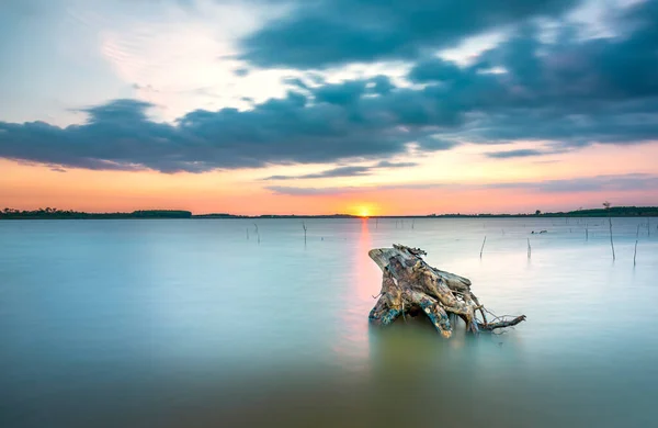 Zonsondergang Landschap Groot Meer Met Droge Oude Boomstronk Weg Naar — Stockfoto