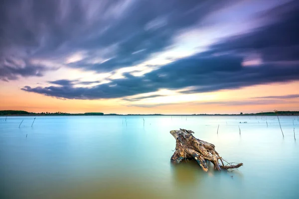 Zonsondergang Landschap Groot Meer Met Droge Oude Boomstronk Weg Naar — Stockfoto