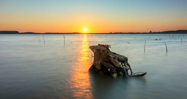 夕阳西下的大湖面 干枯的老树桩向太阳飞去 仿佛是希望生活中有美好的抽象的东西 — 图库照片