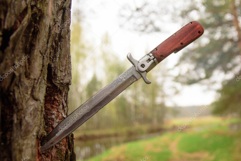 Knife in the tree