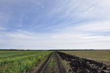 Yaz kırsal toprak ülke yol iki alan arasında