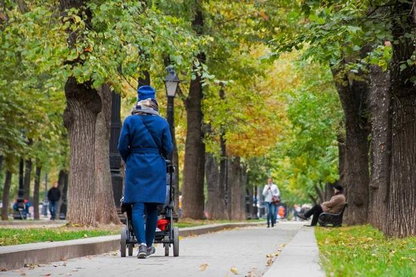 Молодая мама, гуляющая с детской коляской в осеннем городском парке, вид сзади — стоковое фото