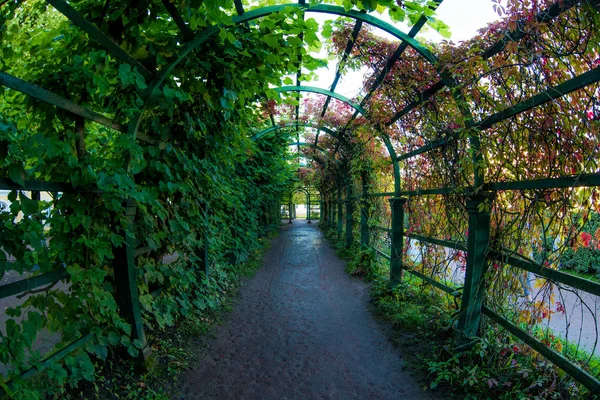Pergola ou arc tunnel fleuri recouvert de plantes vertes dans un jardin d'été romantique — Photo