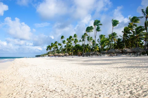 阳光明媚的热带海滩, 拥有棕榈和完美的天空 — 图库照片