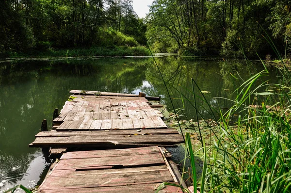Holzplattform Zum Angeln Auf Dem Fluss Sommer Reflexion Von Bäumen lizenzfreie Stockfotos