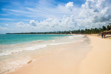 Palmiye ve mükemmel gökyüzü güneşli tropikal plaj