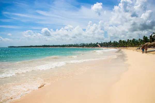 Spiaggia tropicale soleggiata con palma e cielo perfetto — Foto Stock