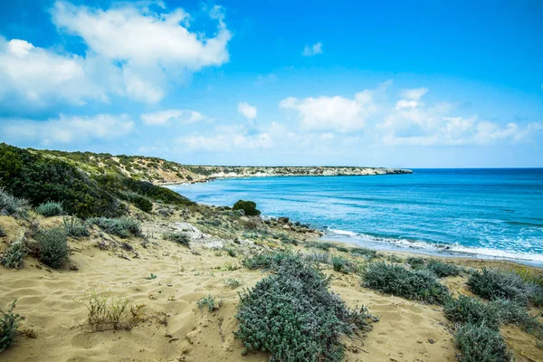 Vahşi doğa, kumul otlar ve deniz ile plaj