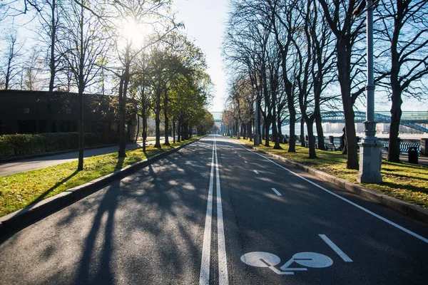 Велосипедные дорожные знаки на асфальтированной дороге в городском парке — стоковое фото