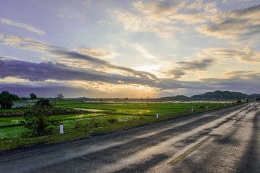 Güzel kırsal asfalt yol ve gün batımında çim sahne alanı