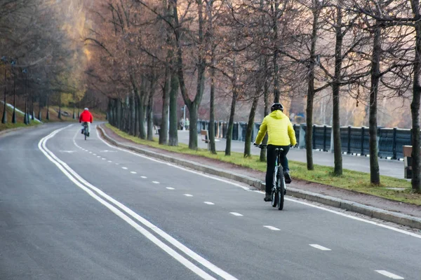 Велосипедные дорожные знаки на асфальтированной дороге в городском парке — стоковое фото