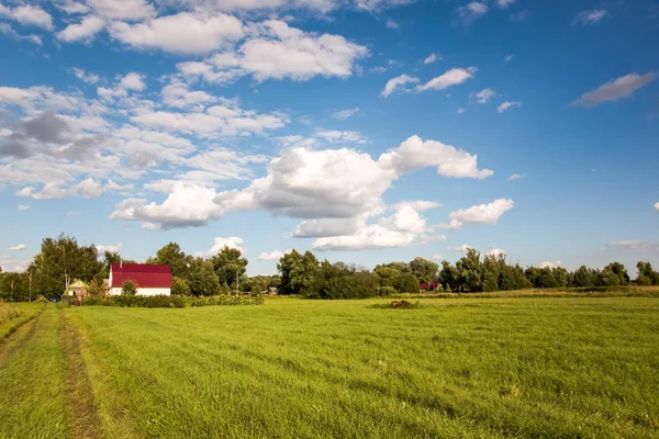 Beautiful green sunny rural landscape with trees and clouds — Stock Photo, Image