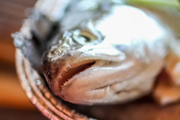 Kopf eines frischen Fisches mit Zähnen Stockbild
