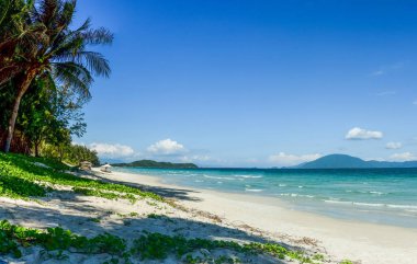 Mavi gökyüzü güneşli gün ile tropikal bir plaj görünümünü