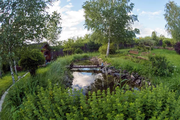 Aménagement paysager. Jardin d'été avec étang à poissons par une journée ensoleillée — Photo