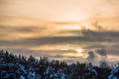 Günbatımı kış manzara orman farkı bulutlar ile