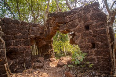 Eski bina duvar kaplama orman banyan Ağaç kökleri