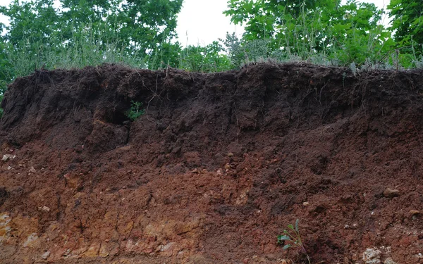 Детали слоев почвы под землей — стоковое фото