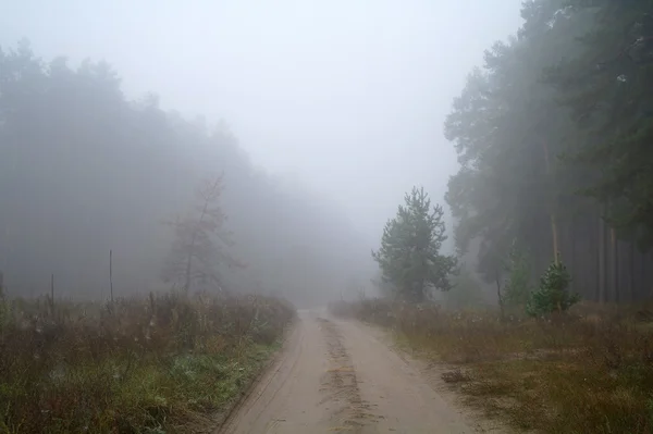 Strada di campagna in autunno nella nebbia — Foto Stock