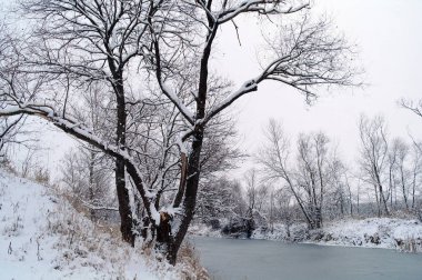 Donmuş nehir ve orman Frost ile kış manzarası