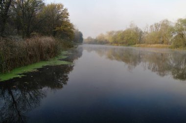 Nehir manzara ve sonbahar ahşap