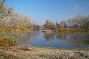 Nehir manzara ve sonbahar ahşap