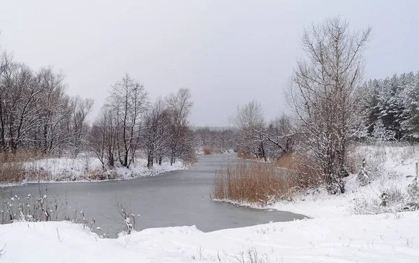 Paisagem de inverno com rio congelado e floresta na geada — Fotografia de Stock