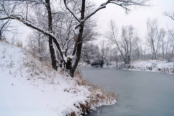Téli táj, erdő, a fagy és a fagyasztott river — Stock Fotó