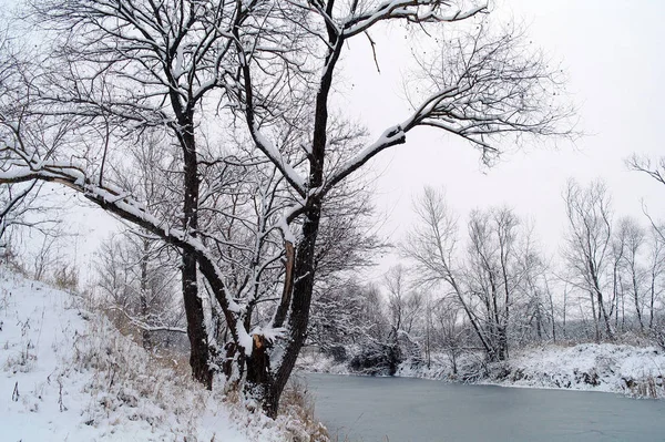 Pejzaż zimowy z zamarznięta rzeka i Las Frost — Zdjęcie stockowe