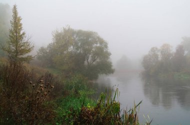 Nehir manzara ve sonbahar ahşap