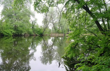 Nehir manzara ve ahşap