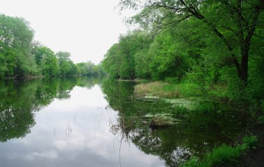Nehir manzara ve ahşap