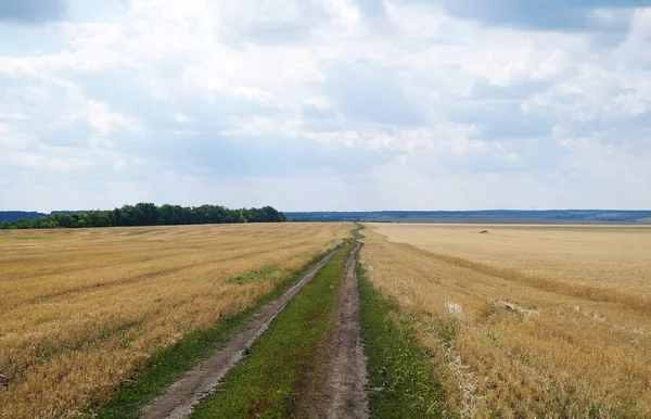 Route et champs ruraux pittoresques dans le paysage estival — Photo