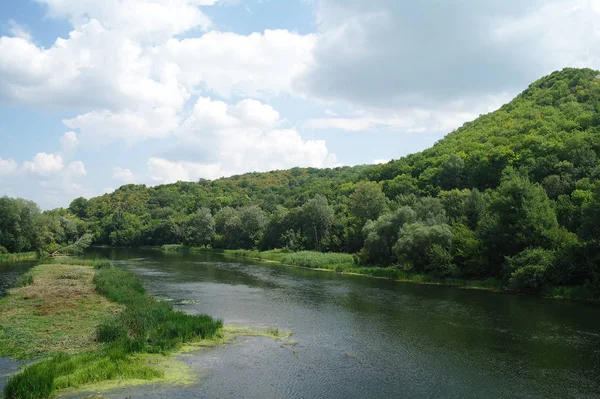 Říční krajina a dřevo — Stock fotografie