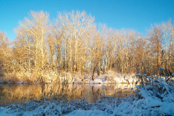 Zima na zamarzniętej rzece — Zdjęcie stockowe