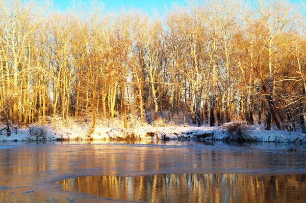 Inverno sul fiume ghiacciato — Foto Stock