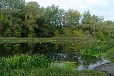 Nehir manzara ve ahşap