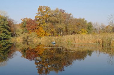 sonbahar yatay, nehrin kıyısında sarı ağaç