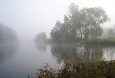 sonbahar yatay, nehrin kıyısında sarı ağaç