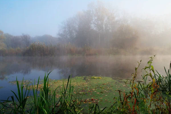 Herbstlandschaft mit gelbem Baum am Ufer des Flusses — Stockfoto