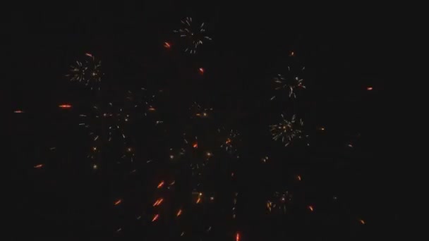 Fuegos artificiales coloridos en la noche de vacaciones — Vídeo de stock