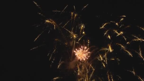 Farbenfrohes Feuerwerk in der Urlaubsnacht — Stockvideo