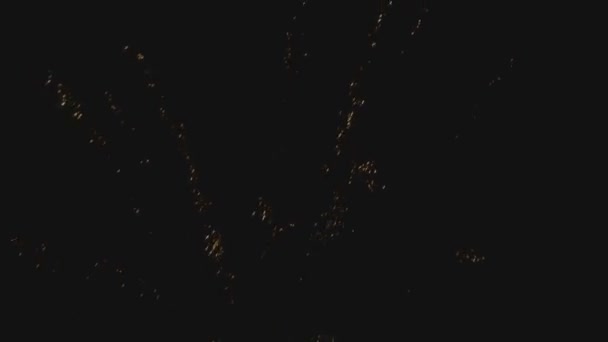 Feu d'artifice coloré la nuit de vacances 