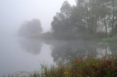 sonbahar yatay, nehrin kıyısında sarı ağaç