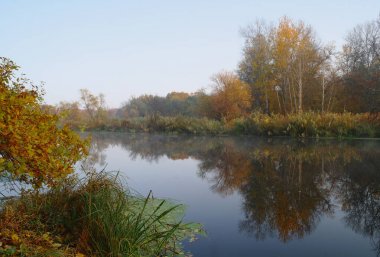 Nehir manzara ve sonbahar ahşap .